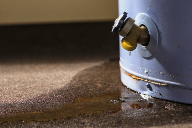 Best Water damage restoration mold remediation  in Mona, UT