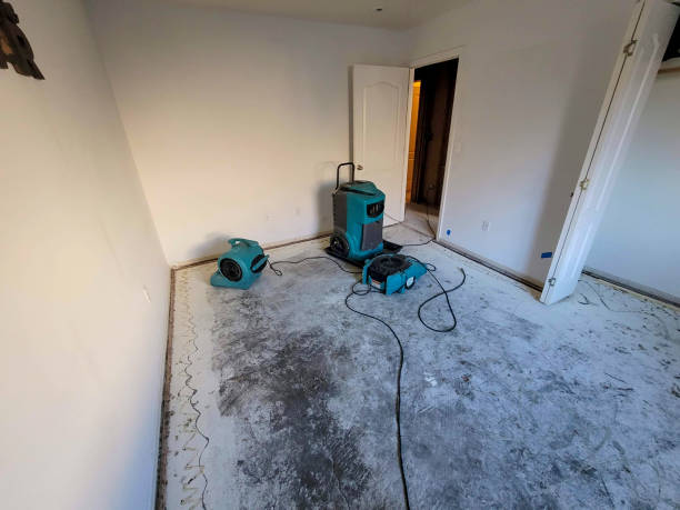 Water damage restoration insurance claims in Mona, UT
