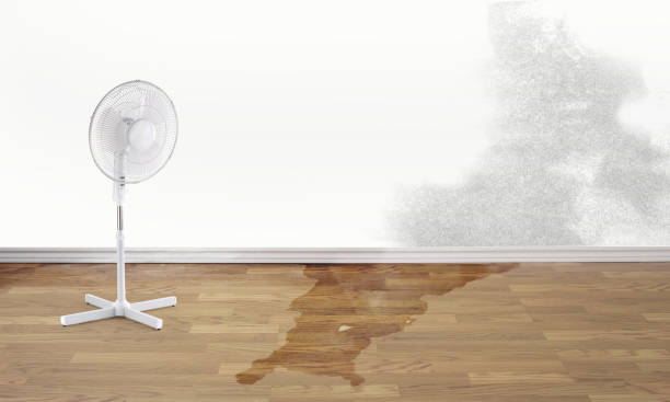 Mona, UT Water damage restoration Company