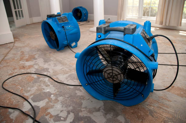 Best Flooded house restoration  in Mona, UT