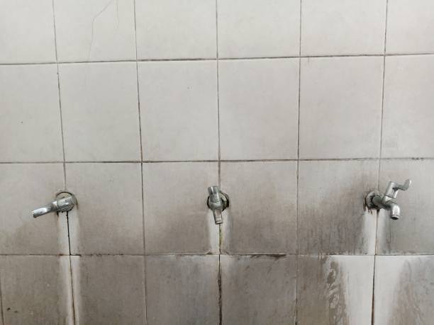 Best Flood restoration services  in Mona, UT