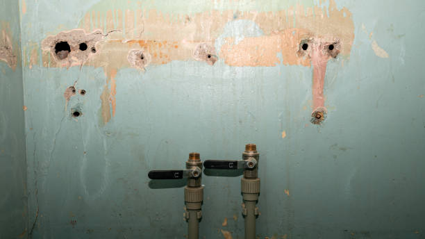 Best 24-hour water damage restoration  in Mona, UT