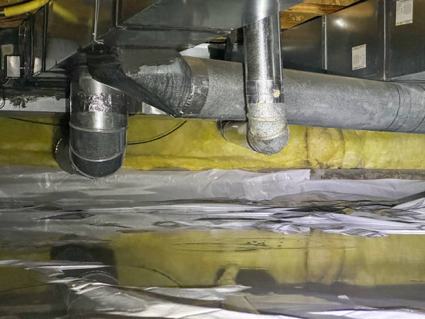 Best Carpet water damage restoration  in Mona, UT