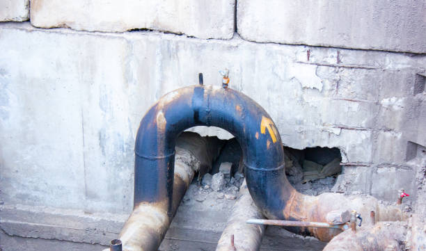 Best Carpet water damage restoration  in Mona, UT