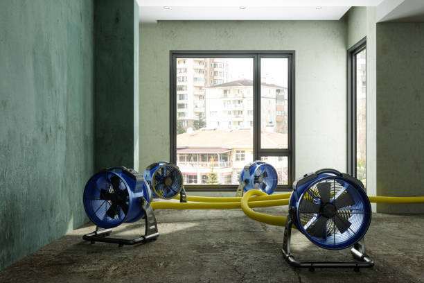 Best Sewage cleanup and water damage restoration  in Mona, UT