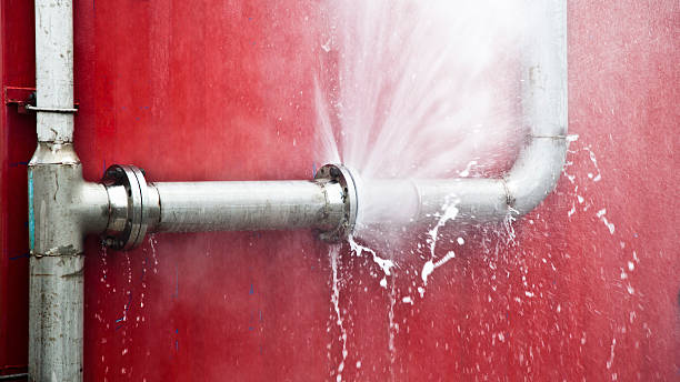 Best Flood damage cleanup  in Mona, UT